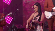 jimmy kimmel love is a wild thing GIF
