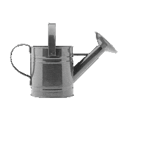 Mall Guadalajara Sticker by Andares Centro Comercial