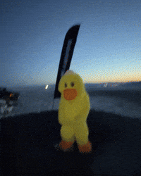 Duck Trampoline GIF