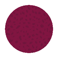 Sexy Drink Sticker by Spenly