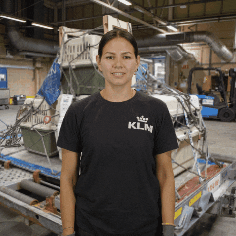 Royal Dutch Airlines Thumbs Up GIF by KLM