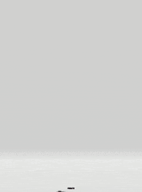 Art 3D GIF by Prismatis