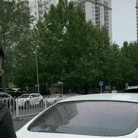 storyhold giphyupload GIF