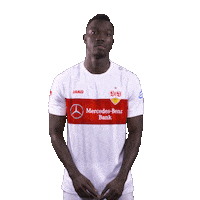 Var Videobeweis Sticker by VfB Stuttgart
