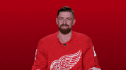 Red Wings Sport GIF by Detroit Red Wings
