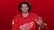 Red Wings Sport GIF by Detroit Red Wings