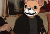 underdogscity underdogs nft GIF