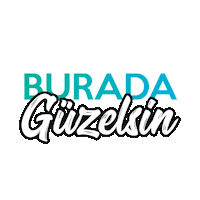 dozgursucu aesthetic antalya surgeon deniz Sticker