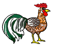 Chicken Gallo Sticker