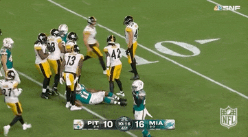 Pittsburgh Steelers Football GIF by NFL