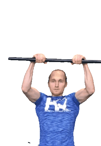 Hendrivermeer strong calisthenics pull up bodyweight Sticker