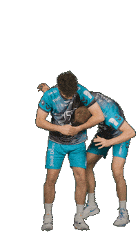 Deutschland Sticker by Volleyball Bundesliga