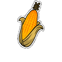 Agronomy Sticker by LG Seeds