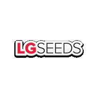 LG_Seeds corn lgs lg seeds lg seed Sticker