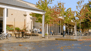 odyssey GIF by NorCal Honda Dealers