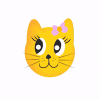 aashnagurav cat cats kitten meow GIF