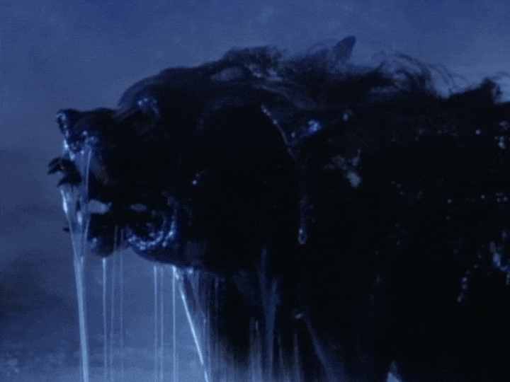 Monster Werewolf GIF