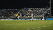 Black And Yellow Soccer GIF by Charleston Battery