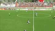 Jimenez GIF by Club Deportivo Palestino