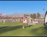 Cdpalestino GIF by Club Deportivo Palestino