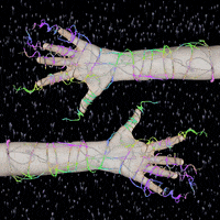 Glitch Rainbow GIF by Sarah Zucker