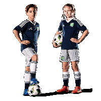 CoerverCoachingCRSK football soccer glitch kids Sticker