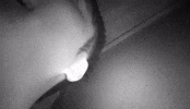 UnkochanGIF yabai junichi kato unkochan GIF