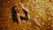 KauflandCesko rich coins telefon kaufland GIF