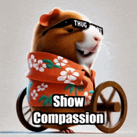 Wisdom Compassion GIF by Guinea Gambino