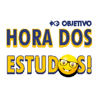 objetivobaixada escola educacao colegio santos Sticker