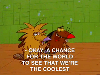 nickrewind nicksplat angry beavers GIF