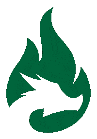 Cheer Cheerleader Sticker by Danube Dragons Cheerleading