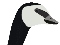 Excuse Me Reaction Sticker by leeamerica