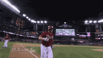 arizona diamondbacks GIF by MLB
