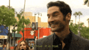 lucifer morningstar fox GIF by Lucifer