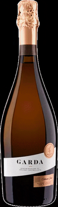 GARDADOC giphygifmaker garda doc GIF