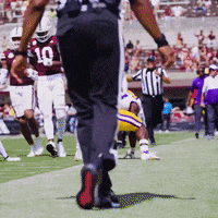 College Football GIF by LSU Tigers