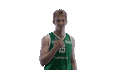 Sport Basketball Sticker by Basket_fi