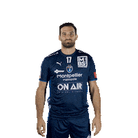 mhbofficiel sport handball victoire ehf Sticker