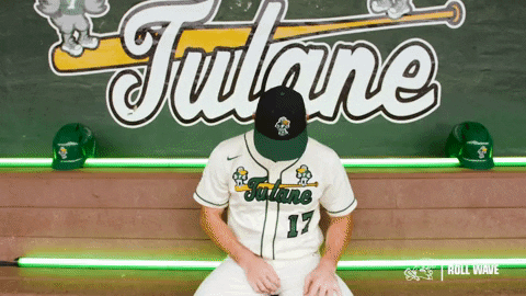 College Baseball Gladiator GIF by GreenWave