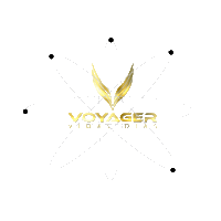 voyagernation digitalart artandscience voyagerbrand voyageractivewear Sticker