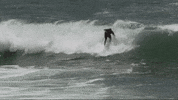Laguna Beach GIF by Paramount+