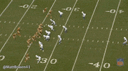 become martavis bryant GIF