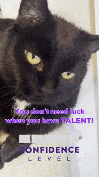 Confidence GIF