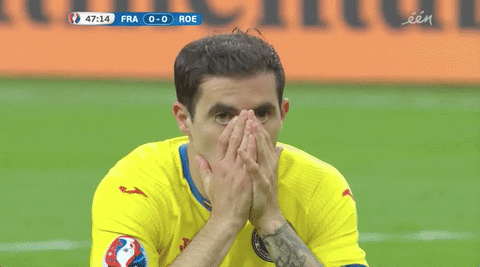 euro 2016 no GIF by Sporza