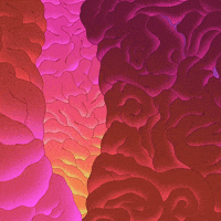 Pendleton Ward GIF by NETFLIX