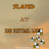 BeeNaturalLocks bee natural locks beenaturallocks GIF