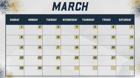 GIF by Akron Zips