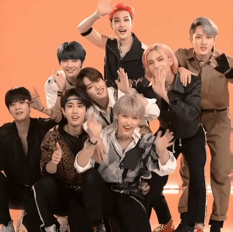 Skz GIF