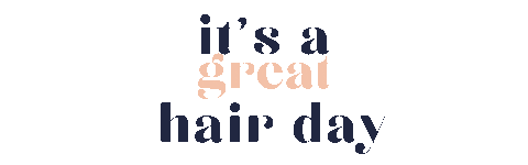 prete giphyupload beauty hair style Sticker